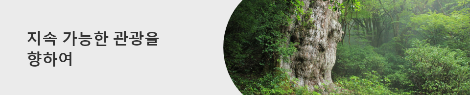 지속 가능한 관광을 향하여