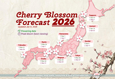 2026년 일본벚꽃 개화시기 및 벚꽃놀이 추천 장소일본 전국의 벚꽃 개화시기, 각 지역별 벚꽃 명소, 액티비티까지 정리!