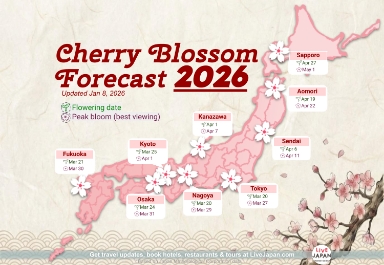 When Will Cherry Blossoms Bloom in Japan? The 2026 Sakura Forecast You'll Want to Bookmark