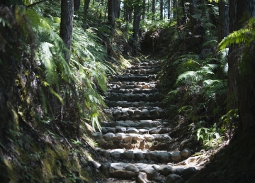 Tanabe City / Kumano Kodo